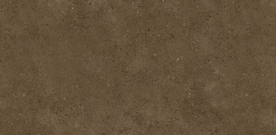 300 X 600 mm Vivo Altai Mocha Wall Tile - Matt Finish 