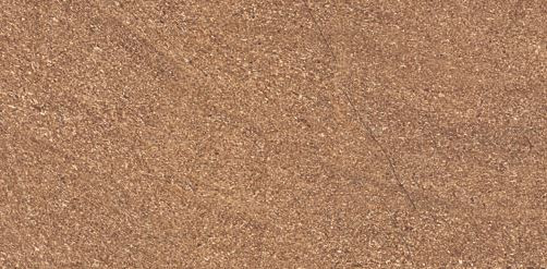 300 X 600 mm Vivo Pegasus Brown Wall Tile - Matt Finish