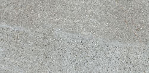 300 X 600 mm Vivo Pegasus Grey Light Wall Tile - Matt Finish 