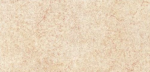 300 X 600 mm Vivo Pizarra Beige Wall Tile - Matt Finish