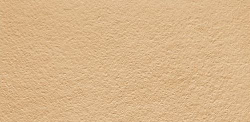 300 X 600 Mm Vivo Portland Beige Wall Tile - Matt Finish