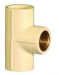 25 x 15 mm C-PVC Female Threaded Tee (Brass) SDR11 MC2P1FTT3X1I