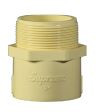 32 x 25 mm C-PVC Male Threaded Adapter SDR11 MC1P1RMT4X3I